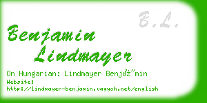 benjamin lindmayer business card